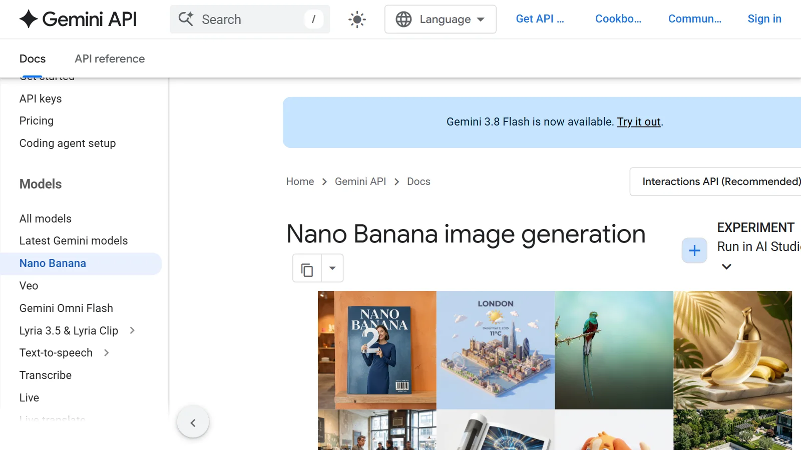 The image generation page of the Google Gemini API documentation (screenshot of the official site)